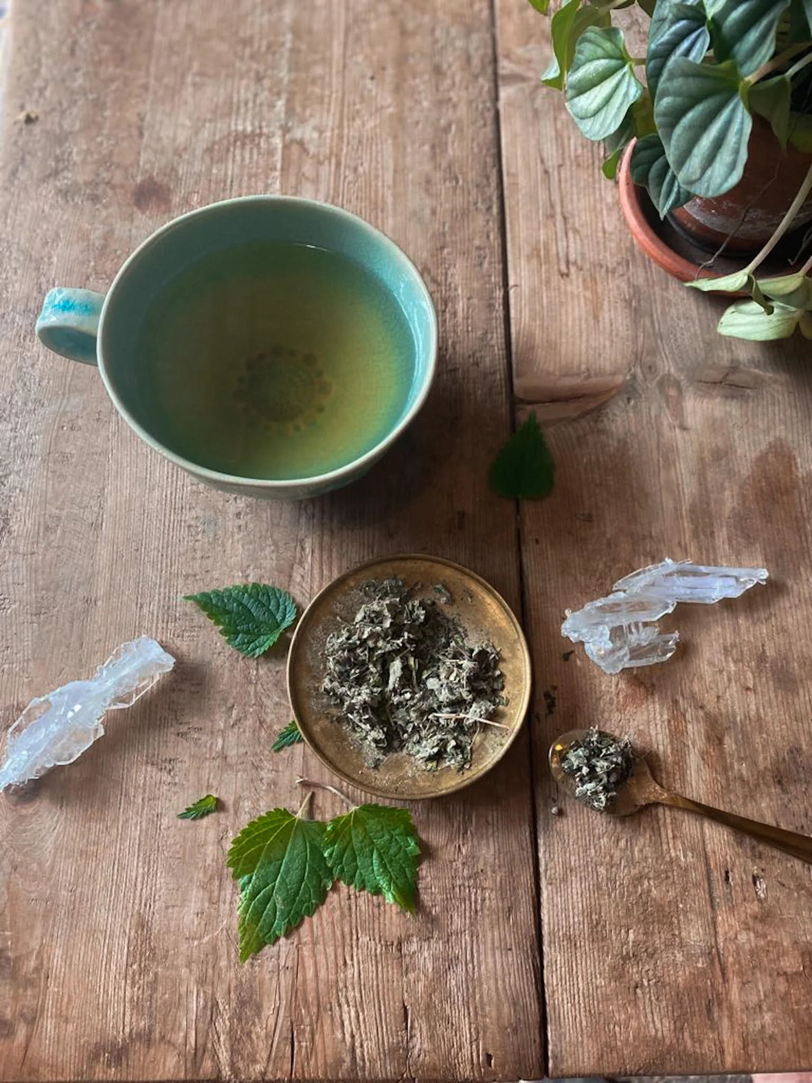 Ancient Remedy | Womb Tea