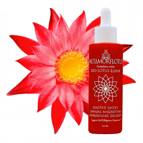 Lotus Flower Tincture Collection