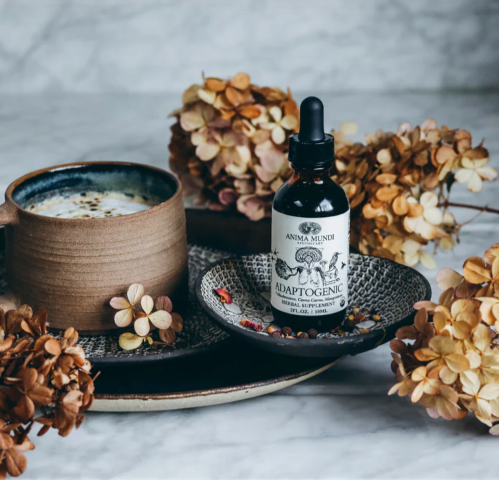 Ancient Remedy | Adaptogenic Mushroom Tonic
