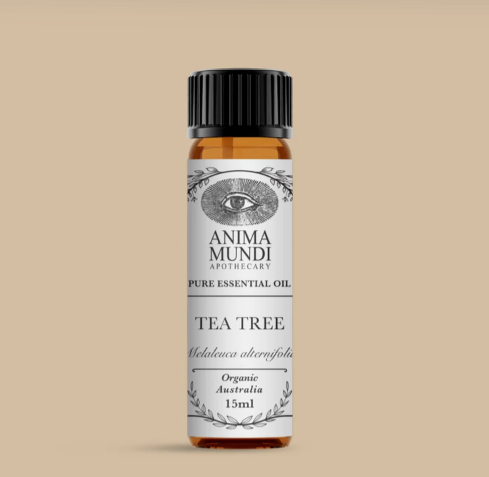 Ancient Remedy | Tea Tree Essential Oil
