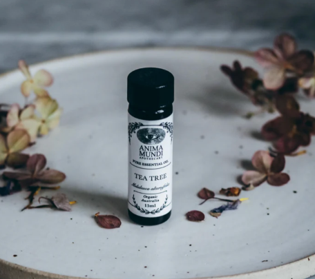 Ancient Remedy | Tea Tree Essential Oil