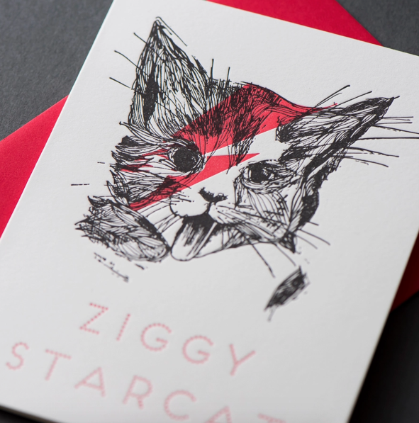 Special Occasion Cards