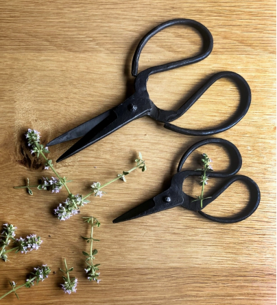 Iron Forged Scissors