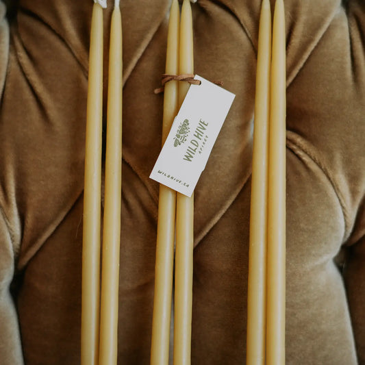 Natural Beeswax Thin Taper Candles | Triplet Pair Set