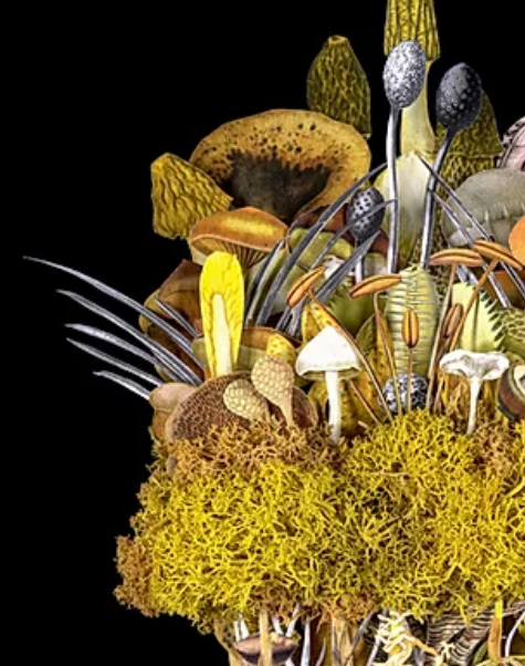 Collage Artist Originals by Jana Nicole