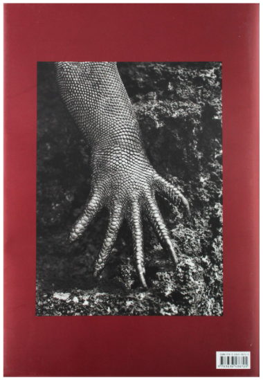 Genesis by Sebastião Salgado