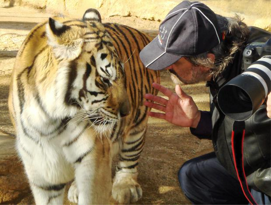 Fragile by Pedro Jarque Krebs