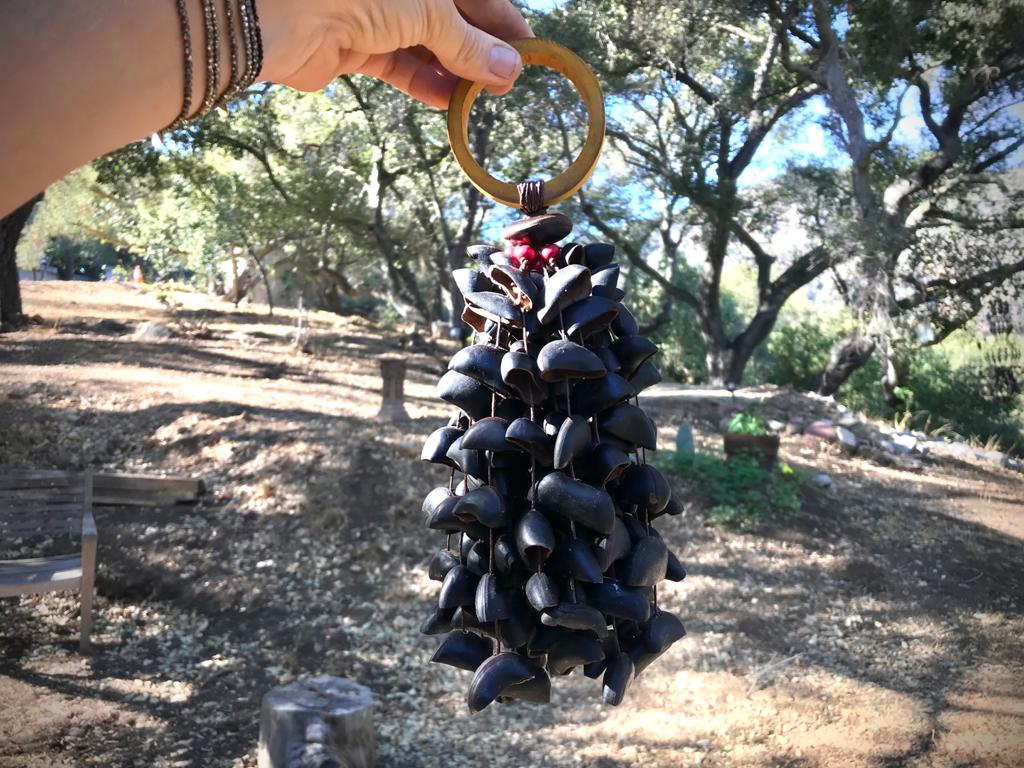 Amazonian Seed Shakers