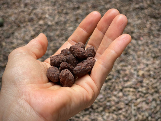 Chocolate Cacao Bean Snack