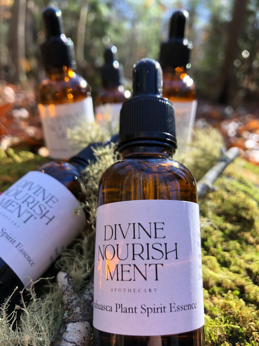 Plant Spirit Essence Collection Divine