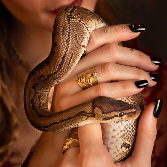 Majestic Serpent Ring Collection