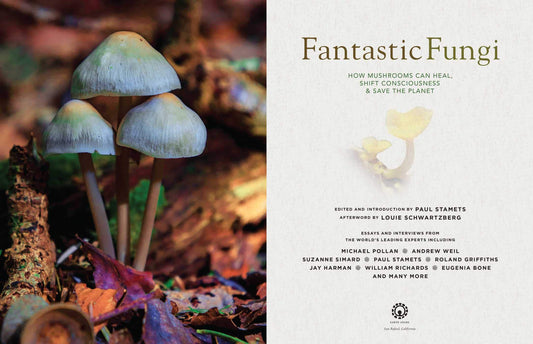 Fantastic Fungi by Paul Stamets