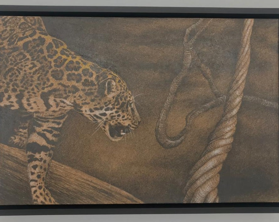 Pencil Drawings | Framed Shipibo Medicina Collection