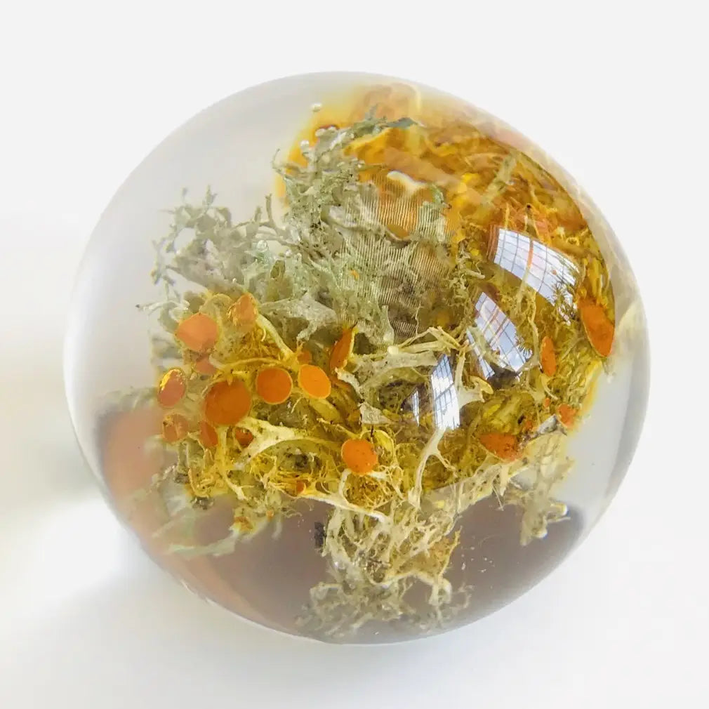 Botanical Orb Golden Moss Paperweight