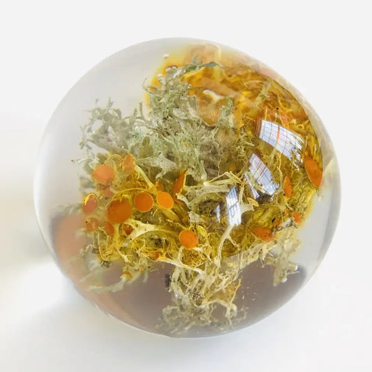 Botanical Orb Golden Moss Paperweight