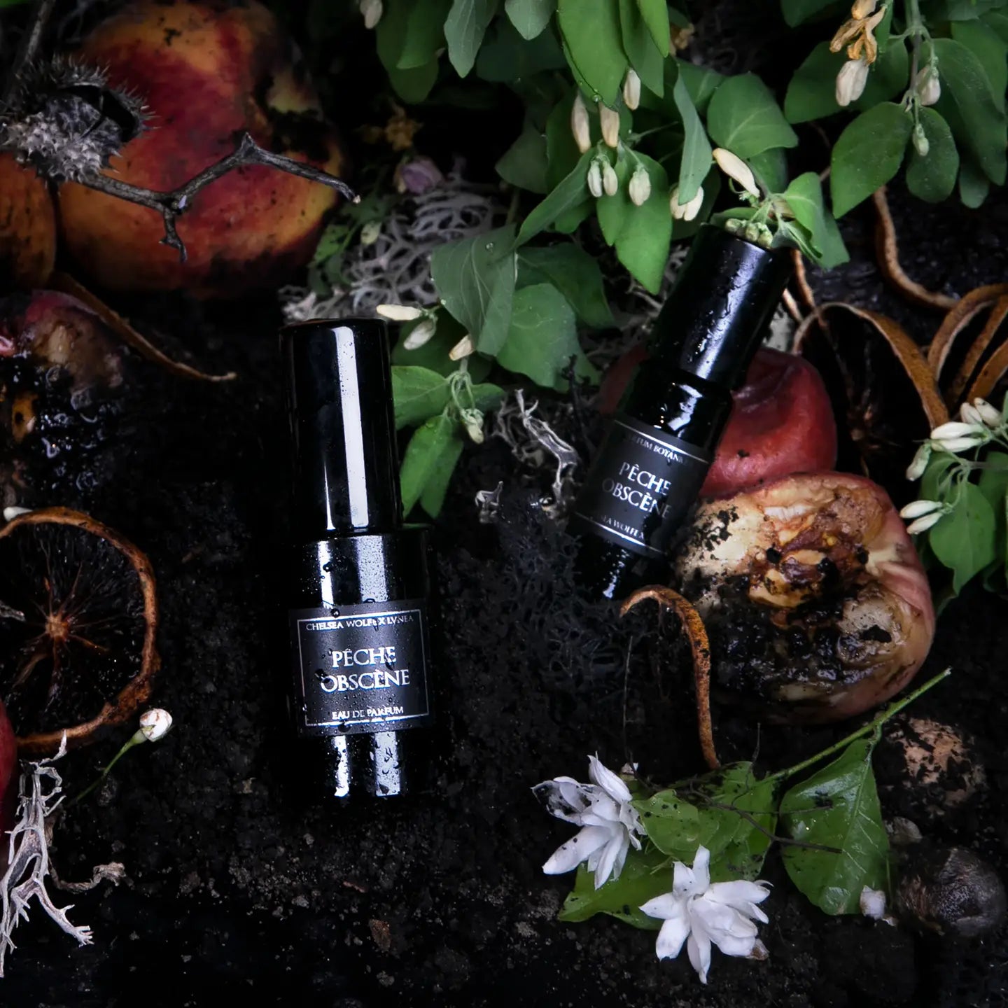 Parfum Botanique