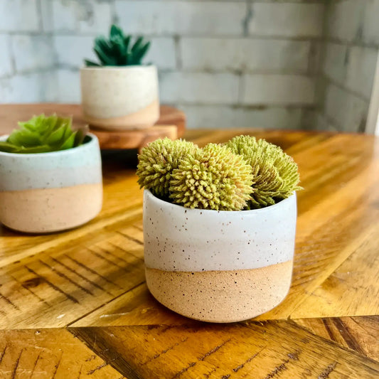 Handmade Ceramic Cylinder Succulent Pot