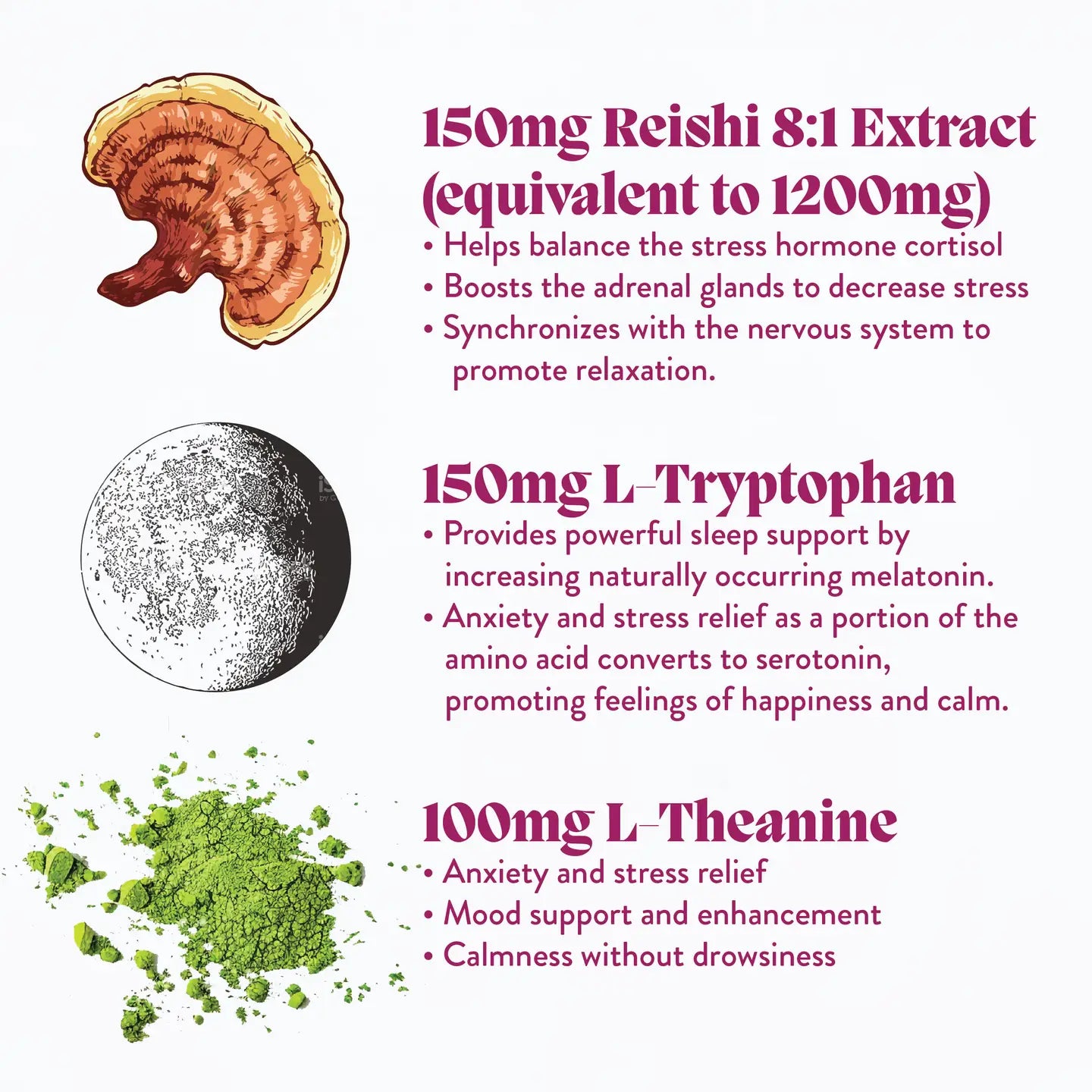 HIBERNATE | Functional Mushroom Gummies
