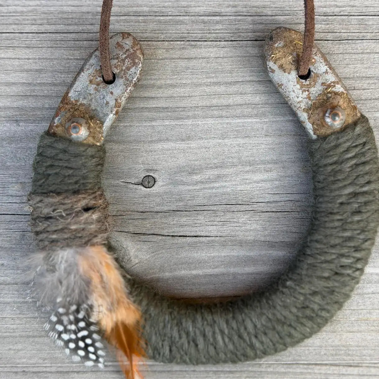 Year of the Horse- Lucky Horseshoes