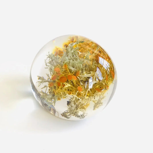 Botanical Orb Golden Moss Paperweight
