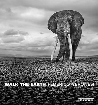 Walk the Earth: Photographs of Africa's Last Great Elephants