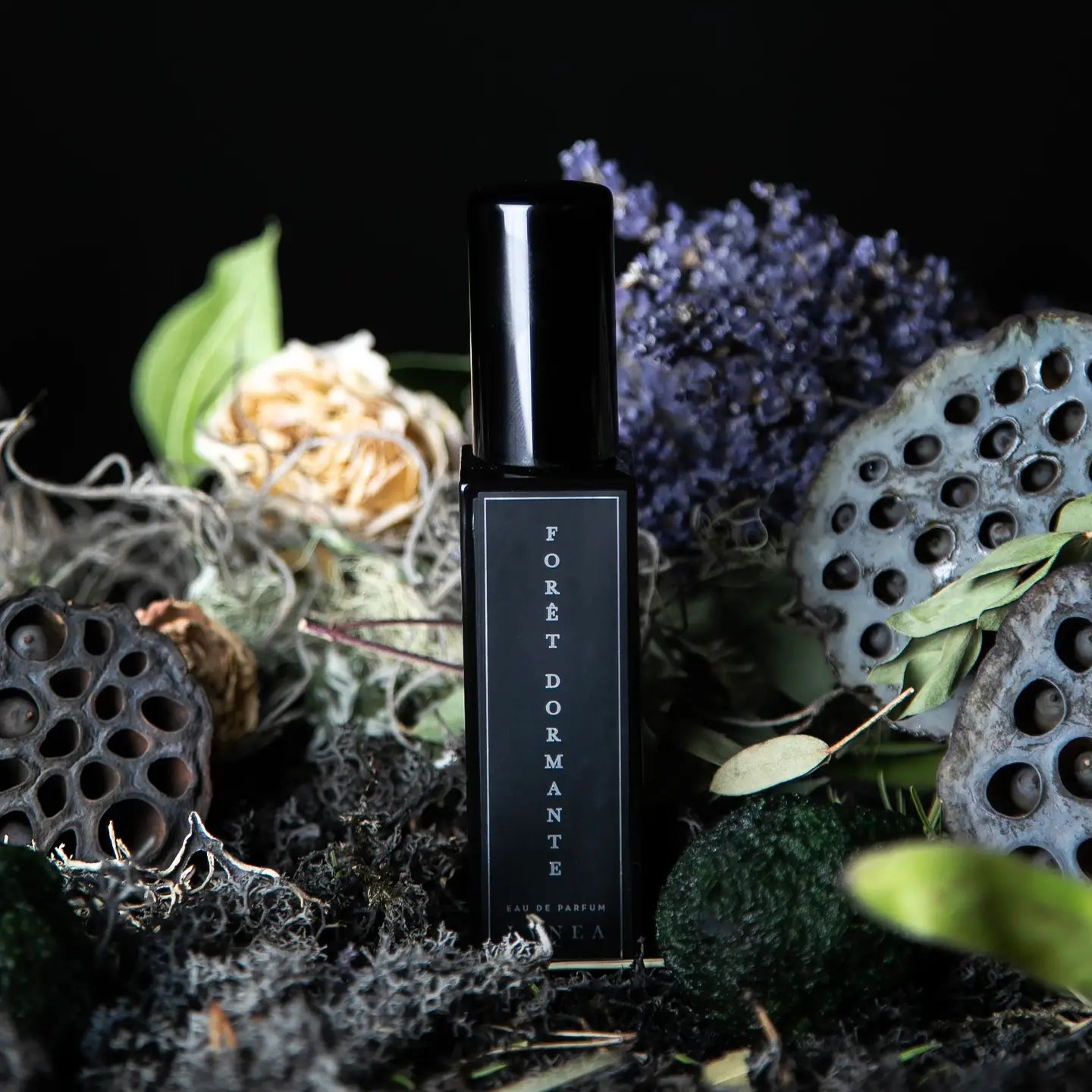 Lvnea Perfume | 8ml - Eau De Parfum