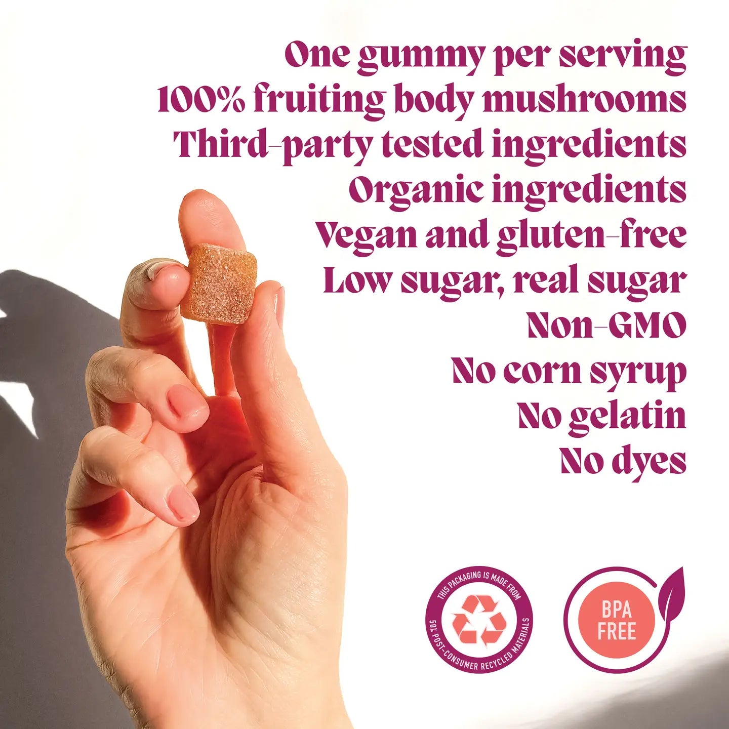 CONCENTRATE | Functional Mushroom Gummies