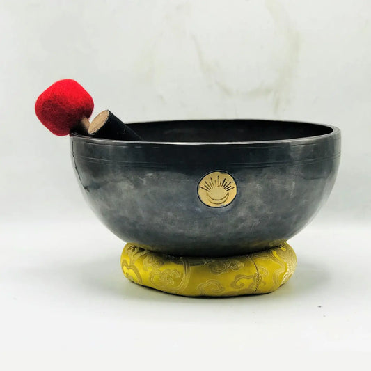 10 Inch Handmade Singing Bowl: Seven Chakra Design, Meditation Sound Bath