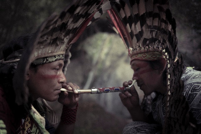 Amazonian Hapé | Rapeh