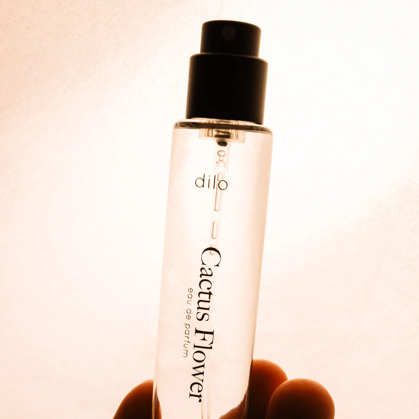 Elsewhere Unisex Eau De Parfum Collection