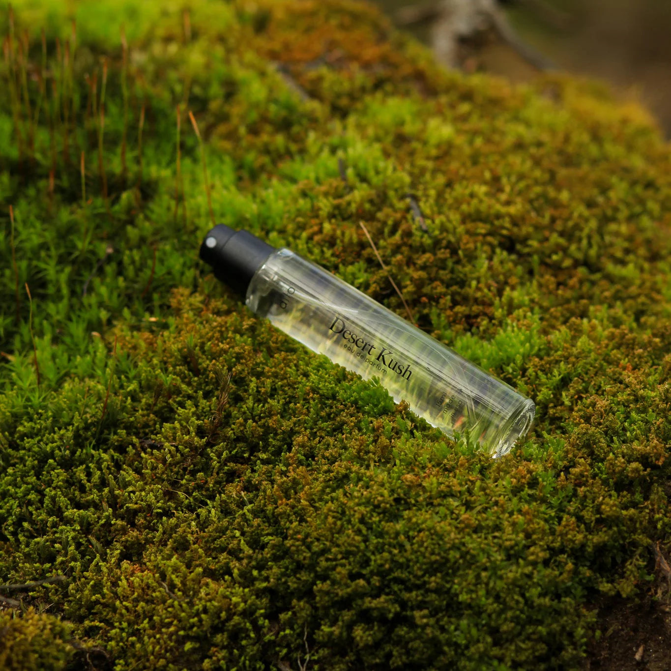 Elsewhere Unisex Eau De Parfum Collection
