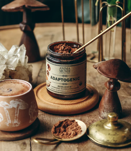 Adaptogenic Medicinal Mushroom Powder