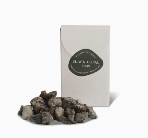 Japanese + Resin Incense Collection