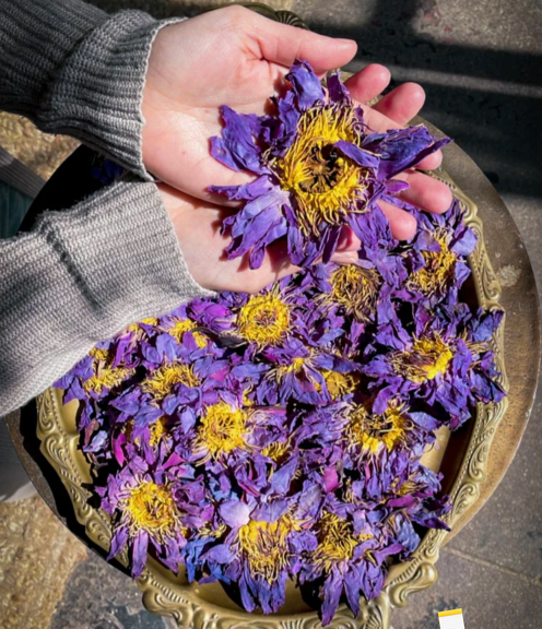 Whole Blue Flowers of Intuition