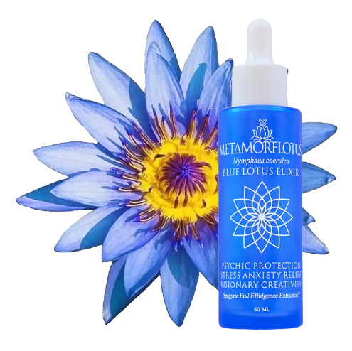 Lotus Flower Tincture Collection