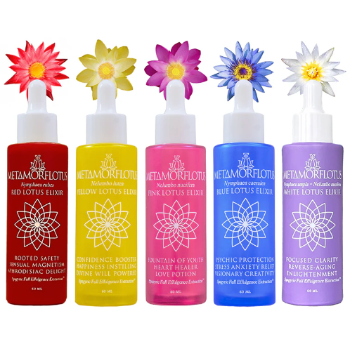 Lotus Flower Tincture Collection