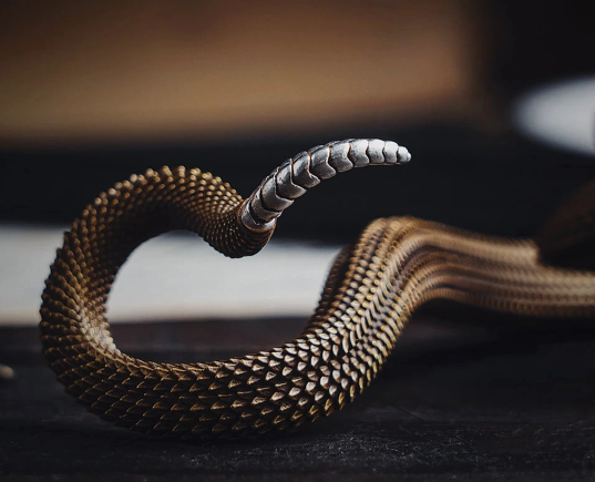 Nature Inspired Brass Incense Holder Collection