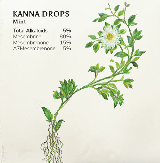 FOCUS Kanna Extract