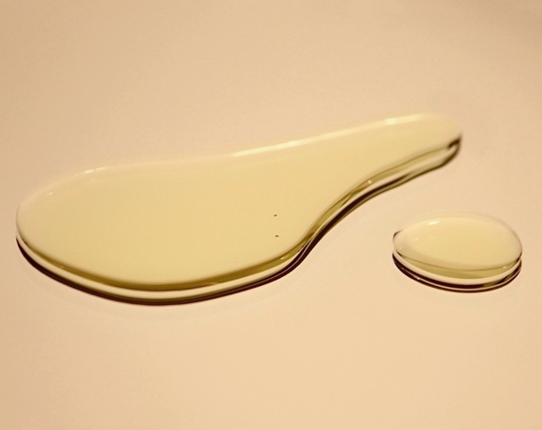 Routine Nourishing Body Cream for The Class