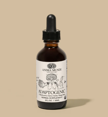 Ancient Remedy | Adaptogenic Mushroom Tonic