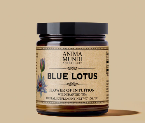 Ancient Remedy | Blue Lotus Flower