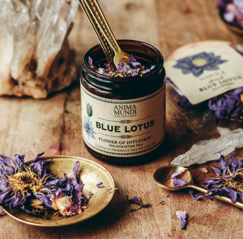 Ancient Remedy | Blue Lotus Flower