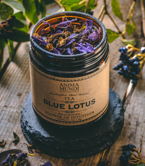 Ancient Remedy | Blue Lotus Flower