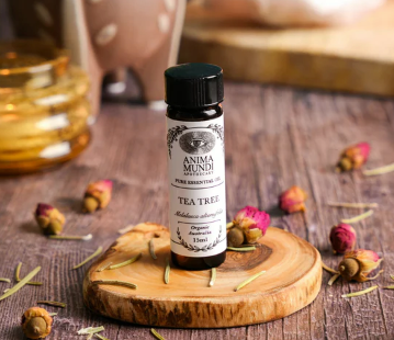 Ancient Remedy | Tea Tree Essential Oil