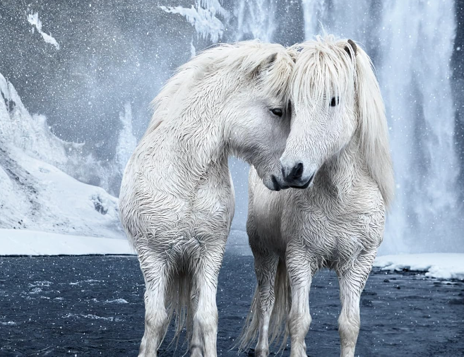 Untamed Spirits by Drew Doggett