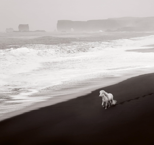 Untamed Spirits by Drew Doggett