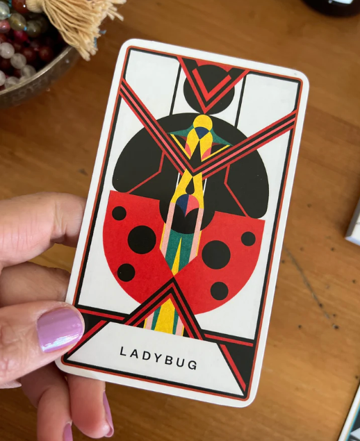 The Untamed Elemental: A 52-Card Oracle Deck and Guidebook