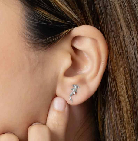 Magic Creatures Studs Collection