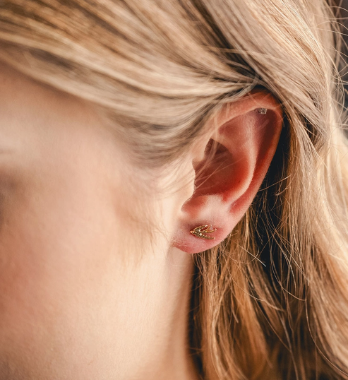 Itty Bitty Stud Earring Collection