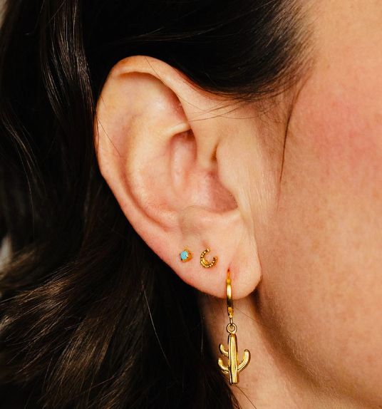 Itty Bitty Stud Earring Collection